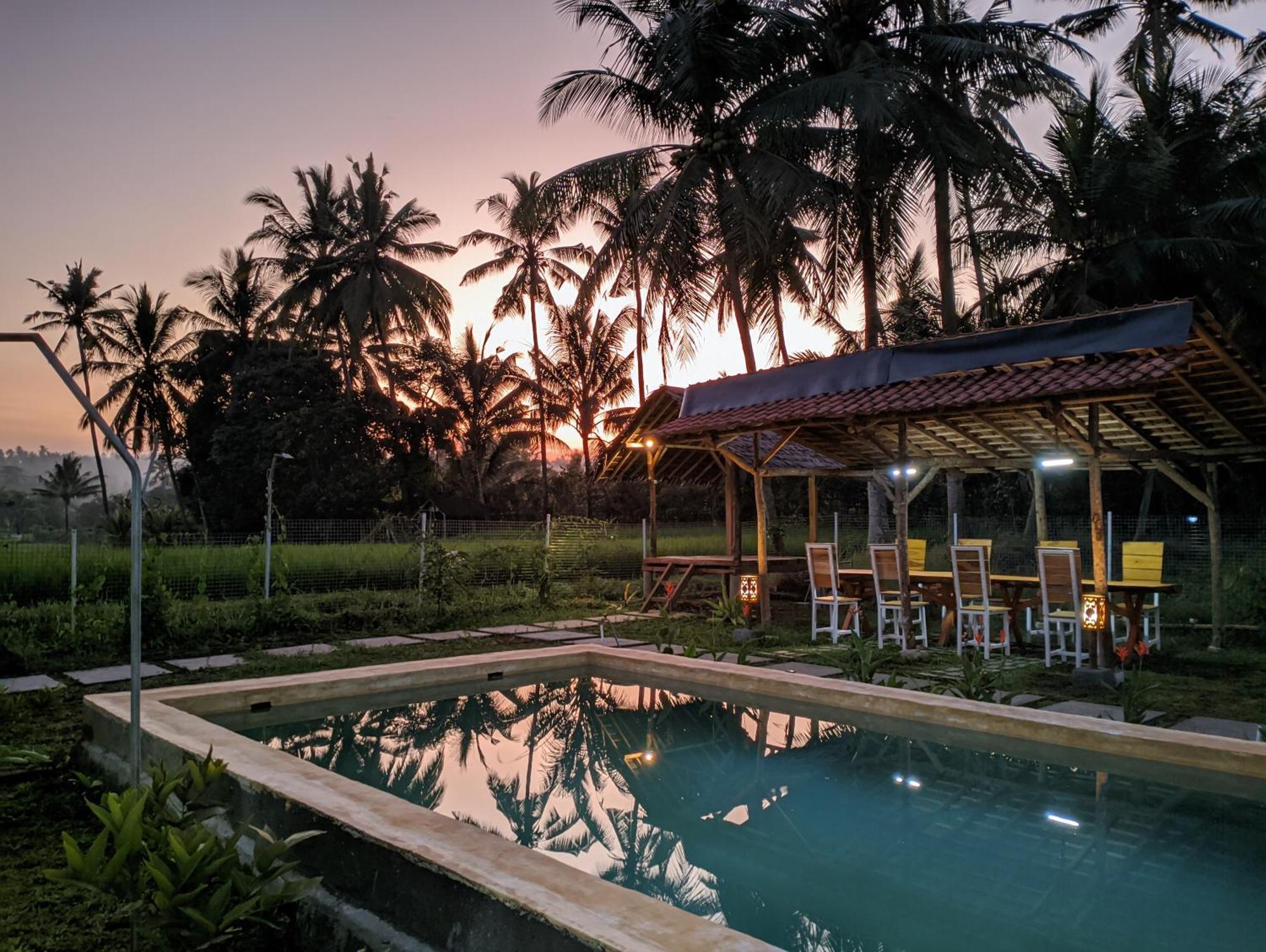 Wooden Kemiren Homestay Banyuwangi Banyuwangi  Eksteriør billede