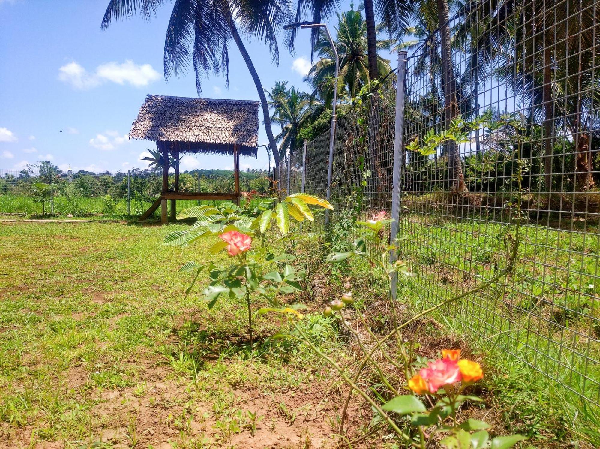 Wooden Kemiren Homestay Banyuwangi Banyuwangi  Eksteriør billede