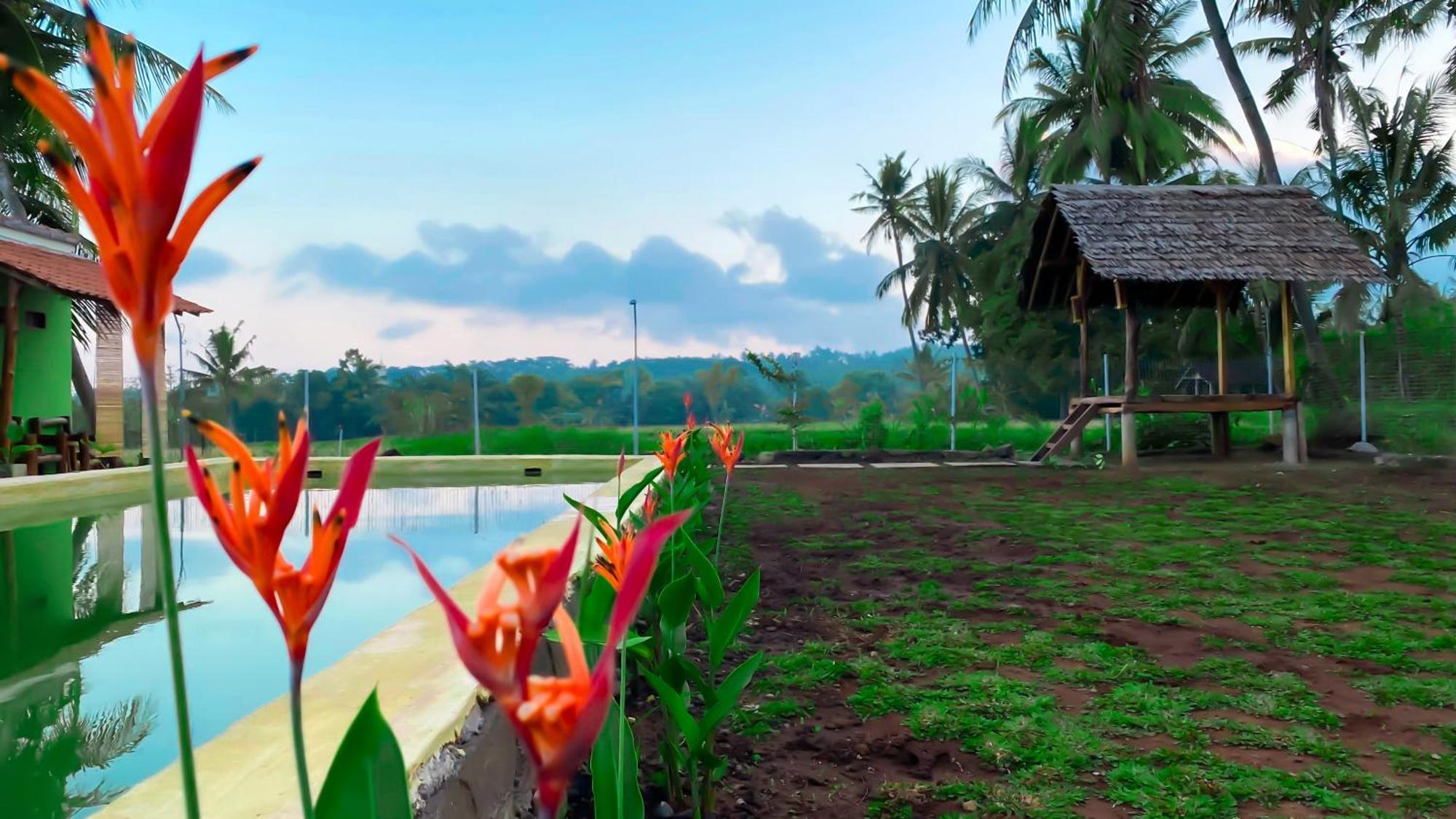 Wooden Kemiren Homestay Banyuwangi Banyuwangi  Eksteriør billede
