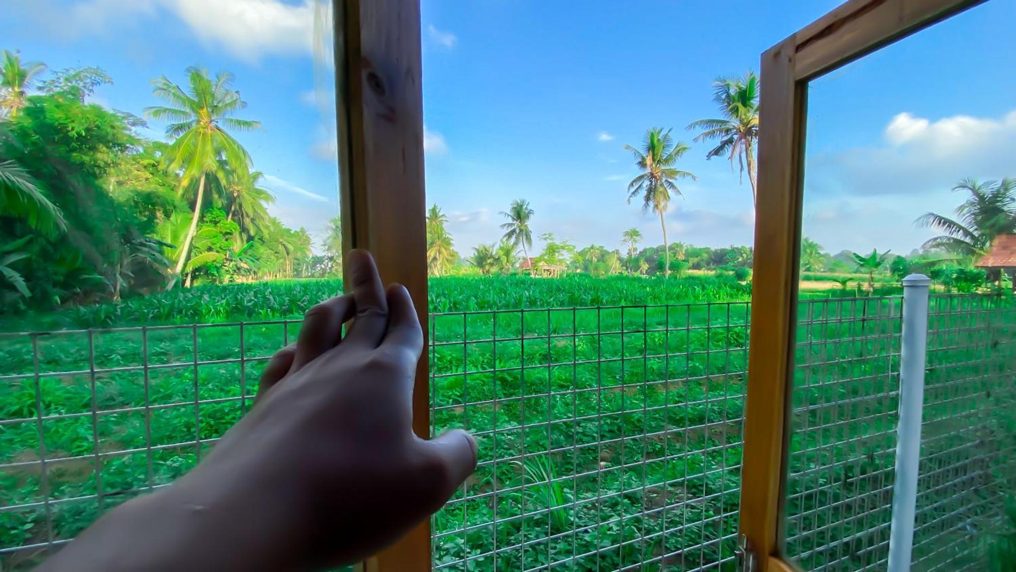 Wooden Kemiren Homestay Banyuwangi Banyuwangi  Eksteriør billede