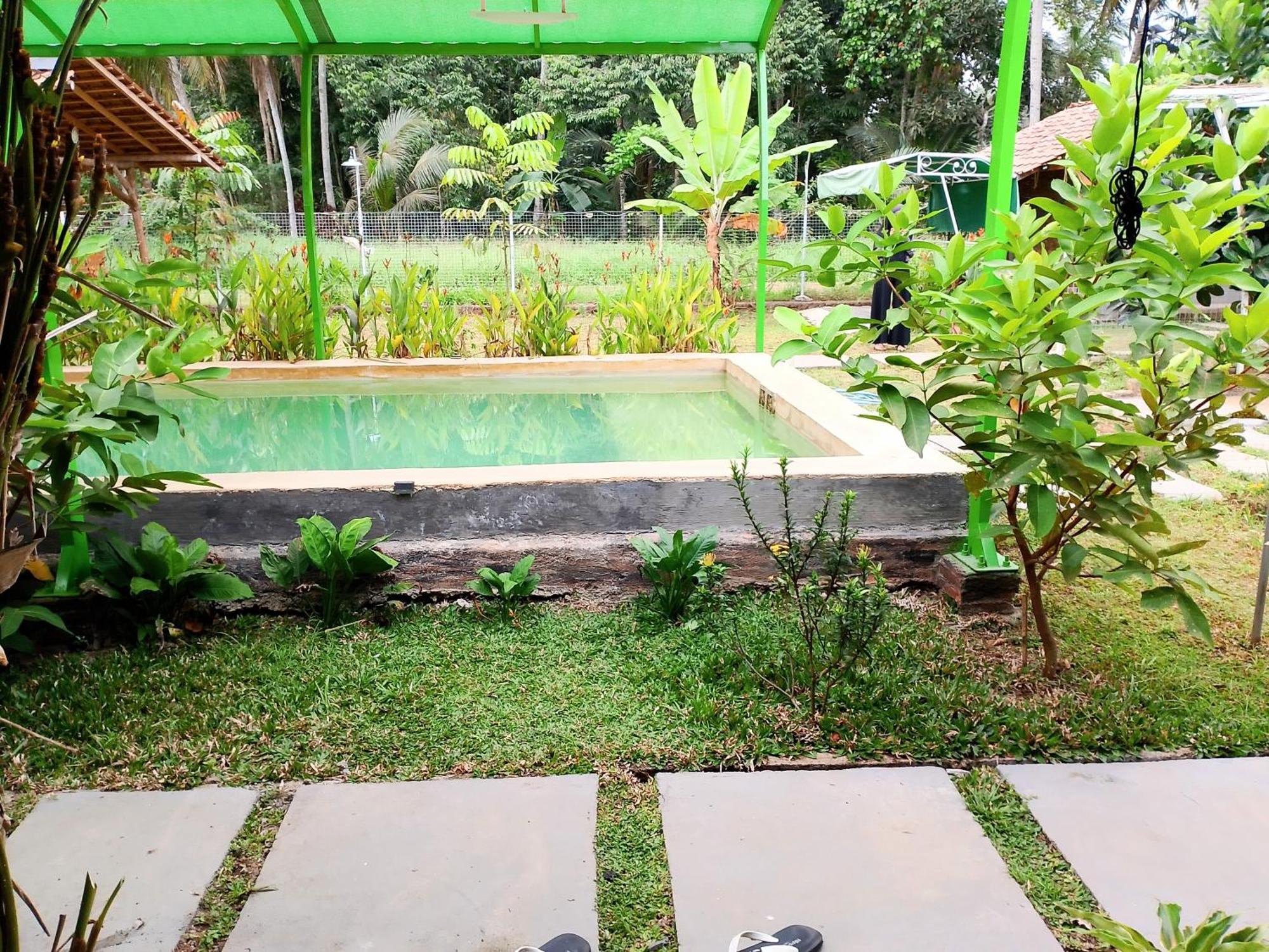 Wooden Kemiren Homestay Banyuwangi Banyuwangi  Eksteriør billede